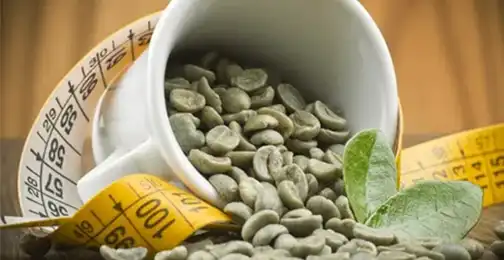 How should Green Coffee Bean Extract Powder be taken for optimal results?